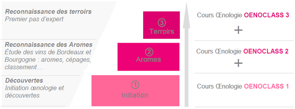 Stages d'oenologie